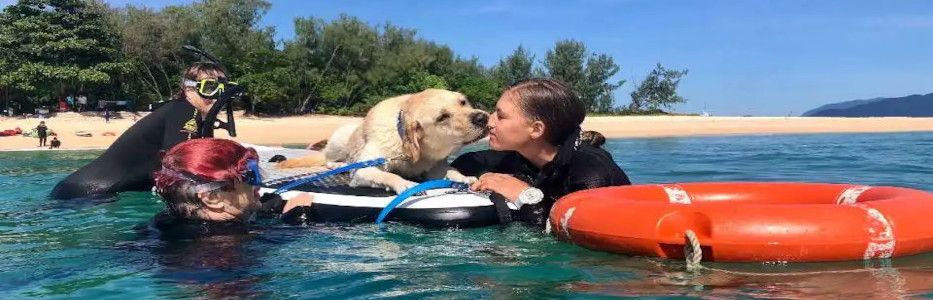 Growing need to build a more accessible tourism industry