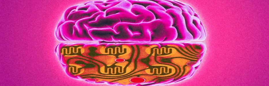 Brain chip pioneer Nick Opie blasts overt start-up tax grab