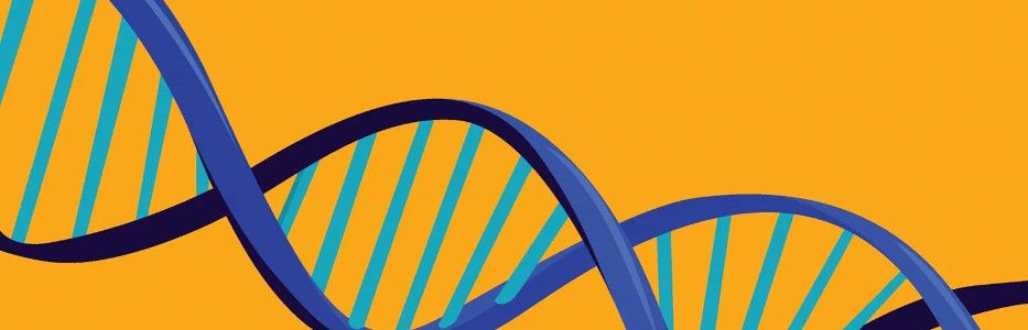 Extraordinary gene cream now set to heal lifelong wound