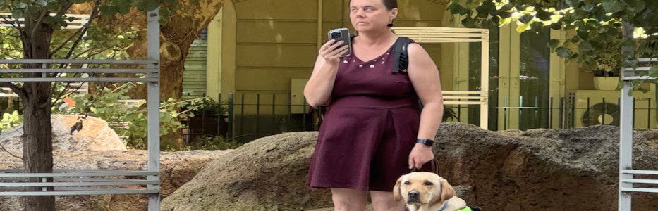 Uber in external review after woman sues over guide dog refusals
