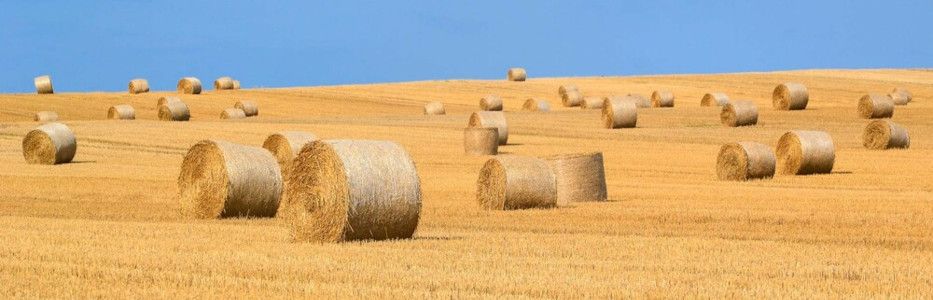 Teenager paralysed in hay bale accident still determined to farm