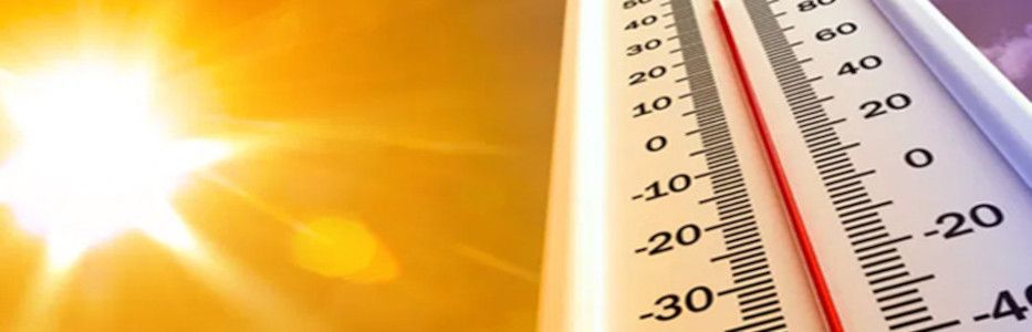 Psychiatrists target think tank in battle over kids climate fears