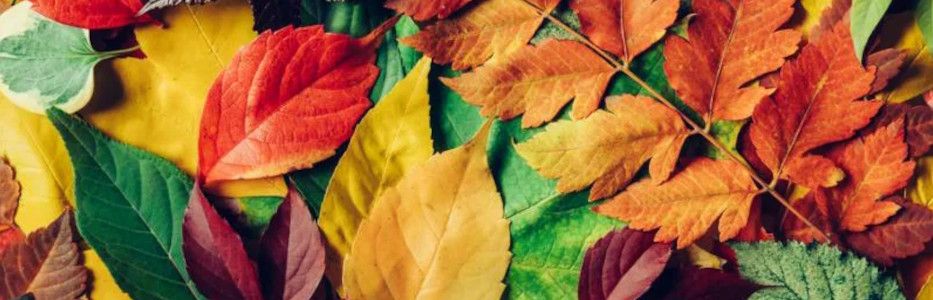 Market Harborough SEND school on track for autumn opening
