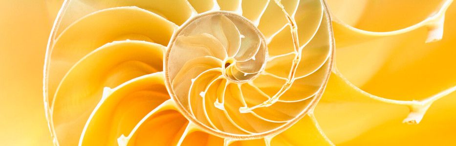 Government agency urges telecoms to back disability innovations