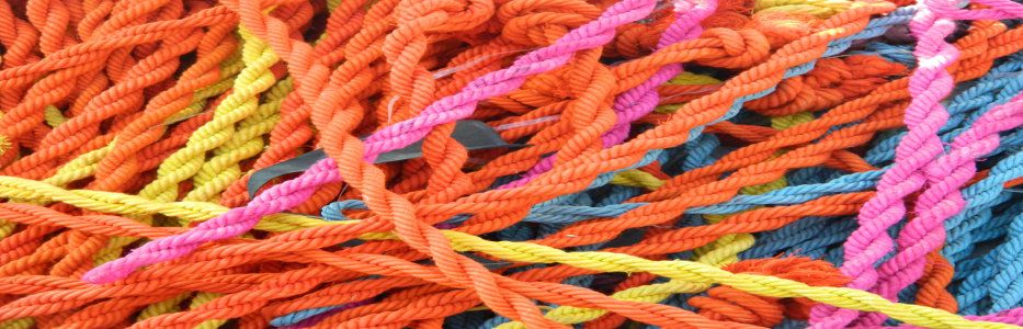 Disability charities now merge to bolster financial resilience