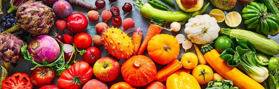 Farm scheme helps learning disabled young adults