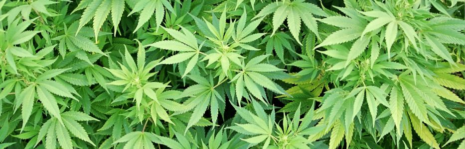Growing use of drug straining hospitals resources everywhere
